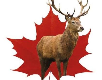 Érablière du Cerf Rouge